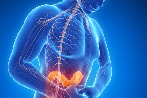 darm_schmerz_fotolia_50962305_sebastiankaulitzki.jpg.3037919