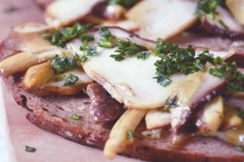 brot-mit-steinpilzen